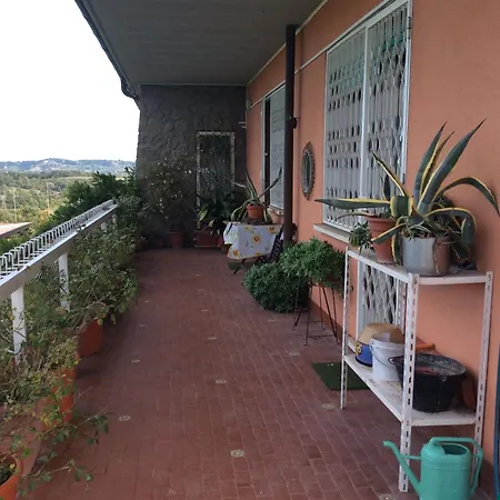 Villa Nanda A 15 Minuti Da Roma Piscina Esclusiva , Villa Nella Natura Villa