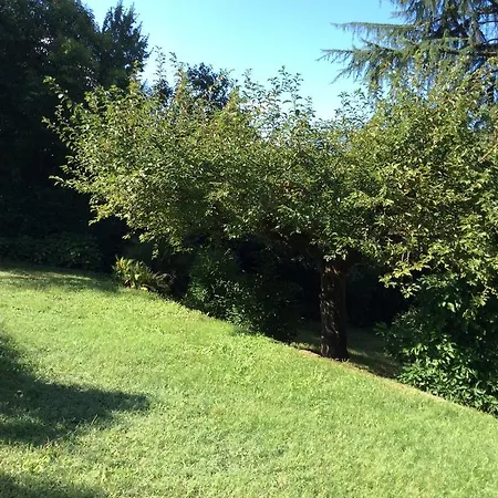 Villa Villa Nanda A 15 Minuti Da Roma Piscina Esclusiva , Villa Nella Natura *