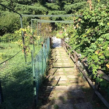 Villa Nanda A 15 Minuti Da Roma Piscina Esclusiva , Villa Nella Natura * Formello