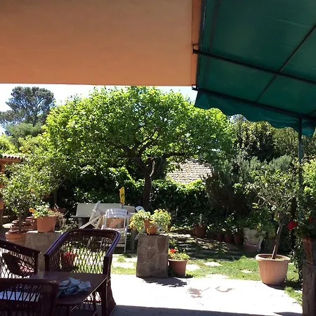Villa Nanda A 15 Minuti Da Roma Piscina Esclusiva , Villa Nella Natura