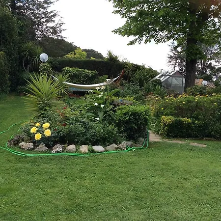 Villa Nanda A 15 Minuti Da Roma Piscina Esclusiva , Villa Nella Natura *