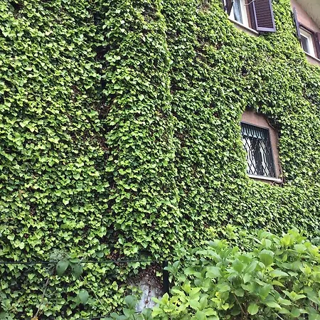 Nanda A 15 Minuti Da Roma Piscina Esclusiva , Nella Natura 빌라
