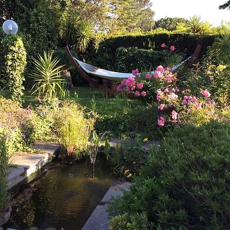 Villa Nanda A 15 Minuti Da Roma Piscina Esclusiva , Villa Nella Natura