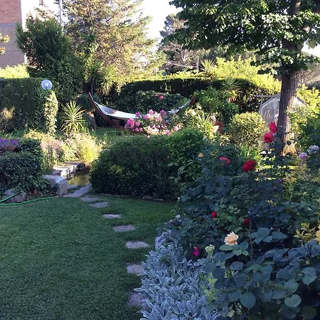 Villa Nanda A 15 Minuti Da Roma Piscina Esclusiva , Villa Nella Natura