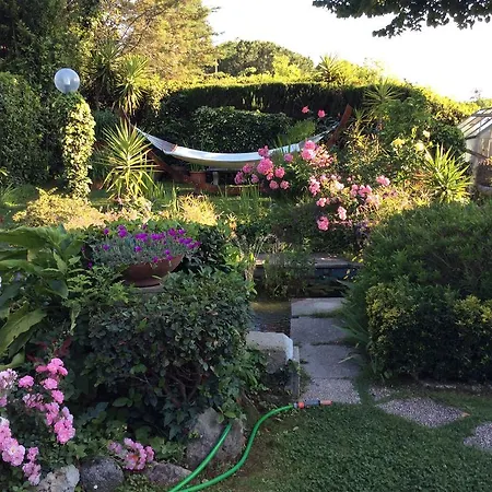 Villa Nanda A 15 Minuti Da Roma Piscina Esclusiva , Villa Nella Natura Villa *