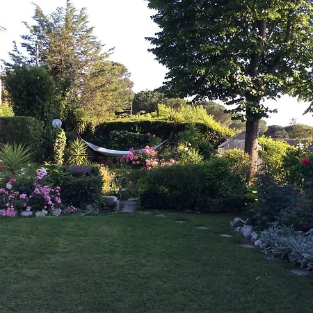 Villa Villa Nanda A 15 Minuti Da Roma Piscina Esclusiva , Villa Nella Natura Formello