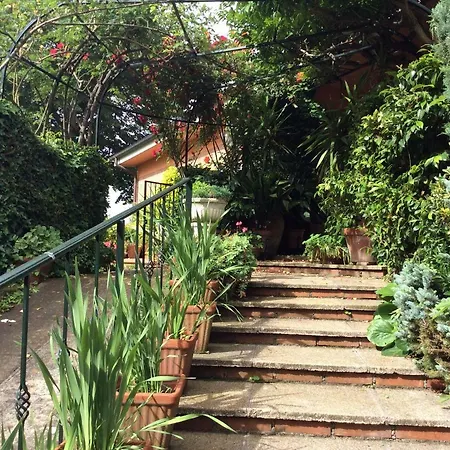 Villa Nanda A 15 Minuti Da Roma Piscina Esclusiva , Villa Nella Natura